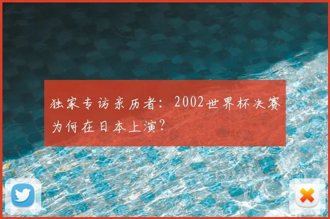 独家专访亲历者:2002世界杯决赛为何在日本上演?