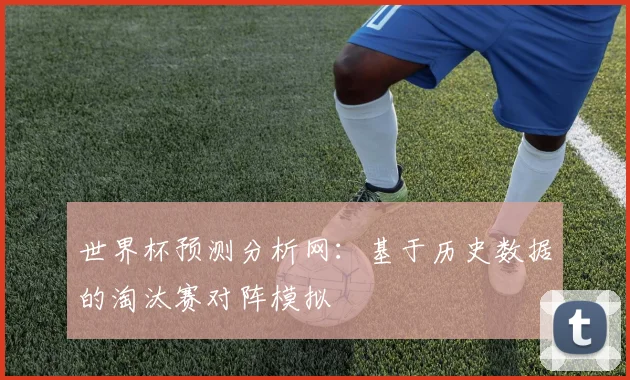 世界杯预测分析网：基于历史数据的淘汰赛对阵模拟