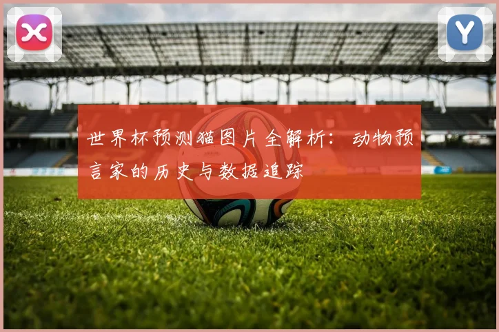 世界杯预测猫图片全解析：动物预言家的历史与数据追踪