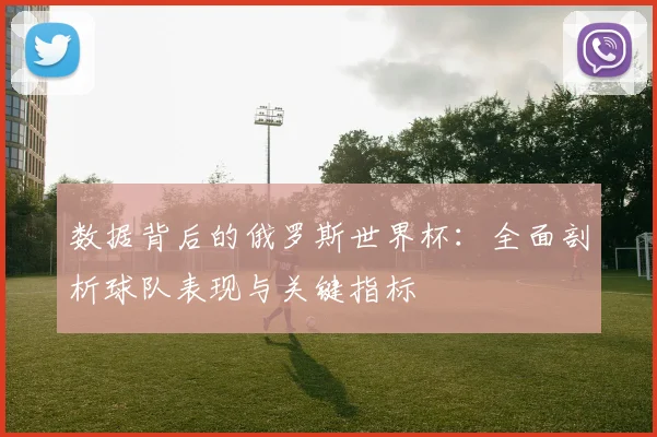 数据背后的俄罗斯世界杯：全面剖析球队表现与关键指标